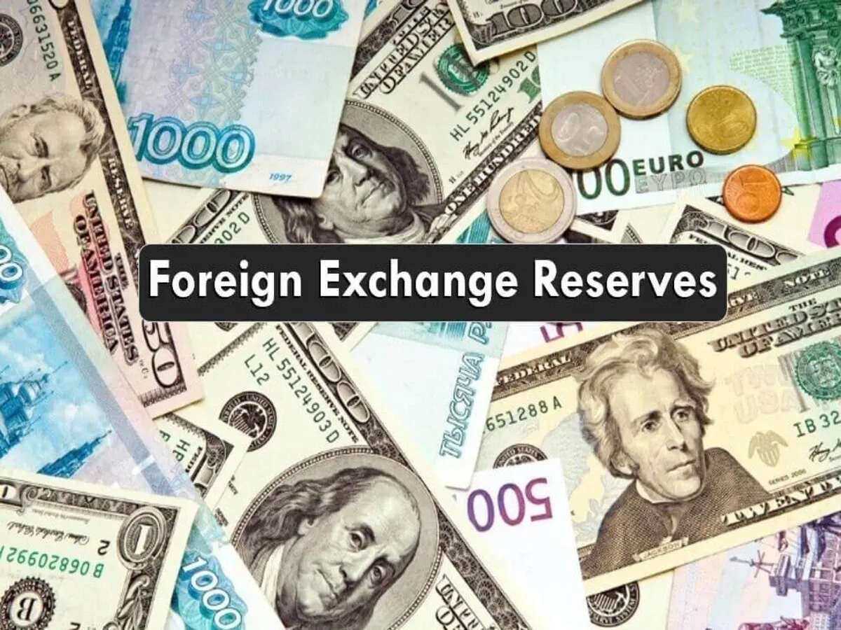 foreign-exchange-reserves