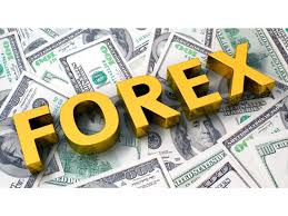Foreign Exchange Reserves